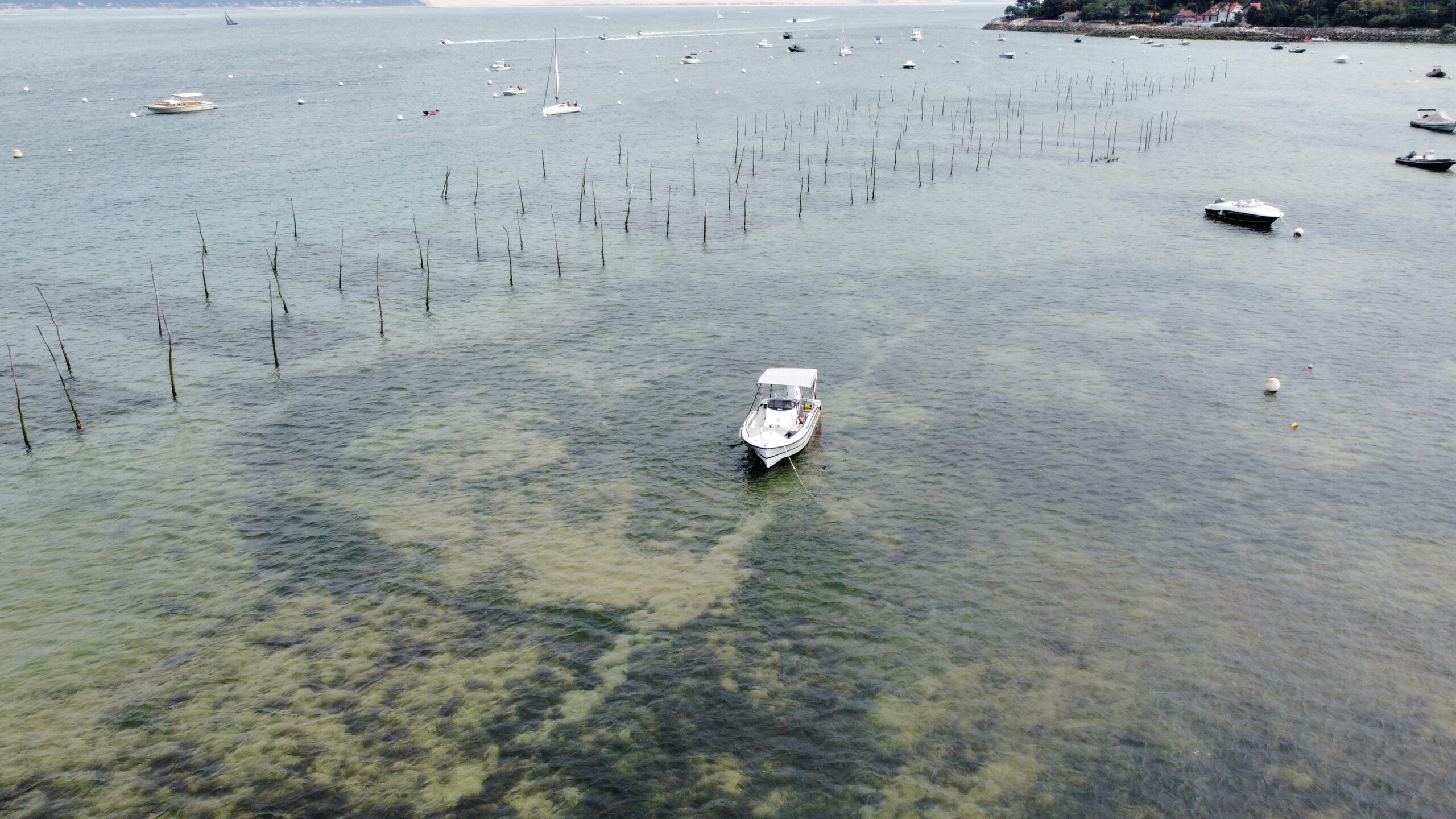 dji_fly_20230528_163506_198_1685284804241_photo_optimized