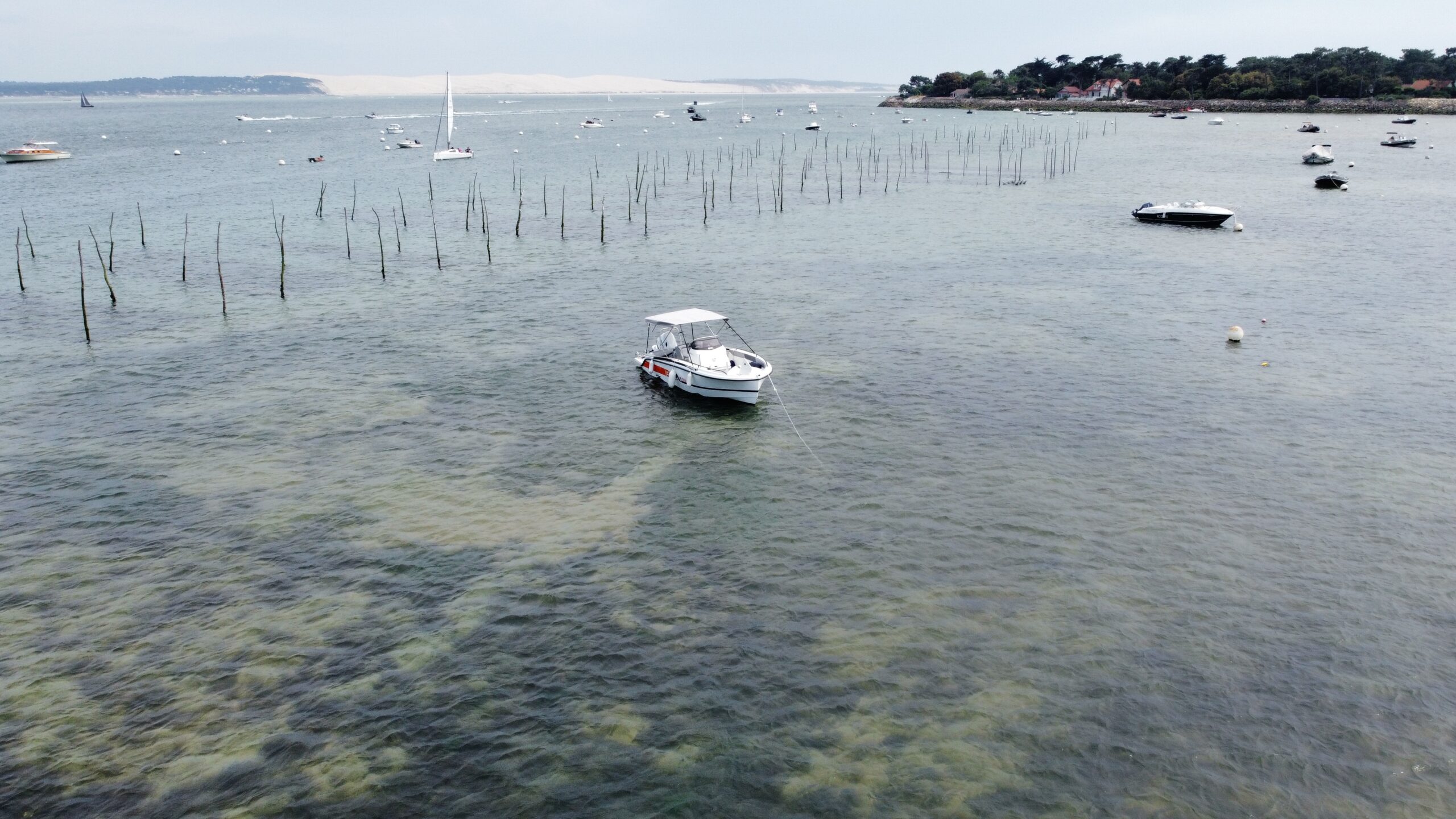 dji_fly_20230528_163518_199_1685284800497_photo_optimized