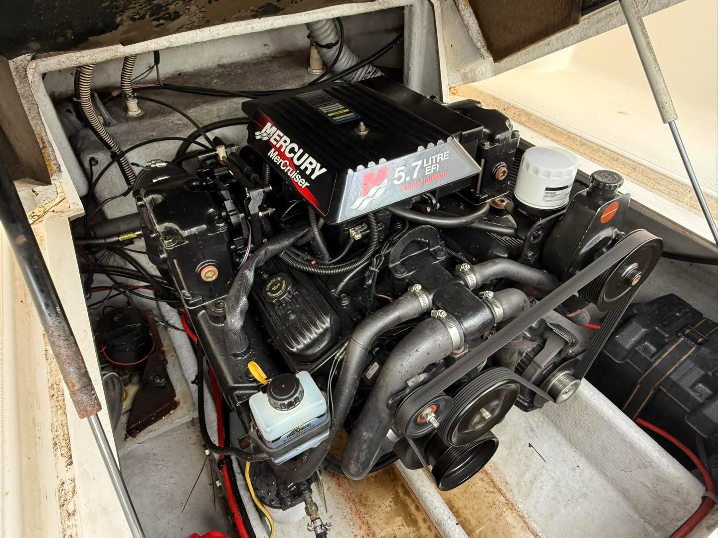 377A2BF9-BA78-439C-BC33-F30B744919D3