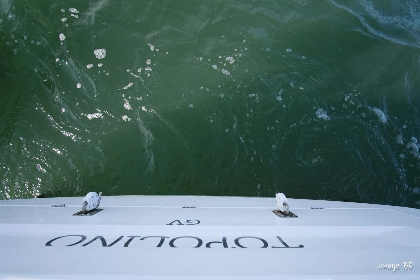 C6828DE3-B317-48C7-82F3-5685EAA9B877