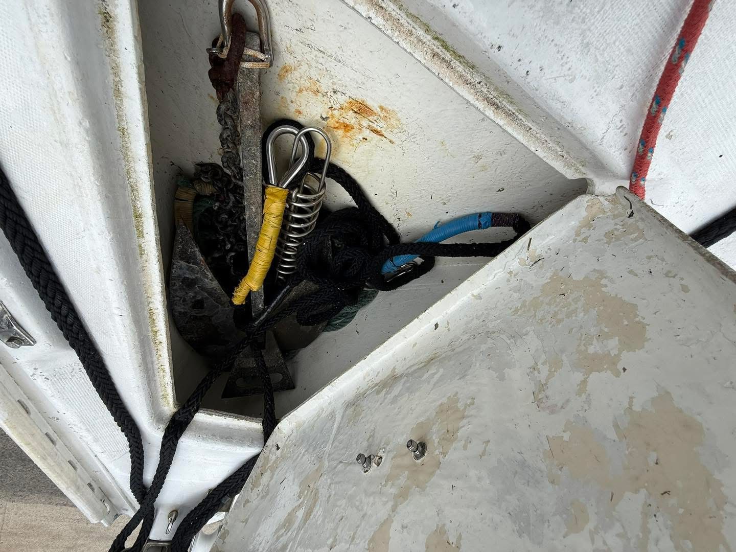 C5B9968A-4425-4E88-965F-1CE4FF3F1A05